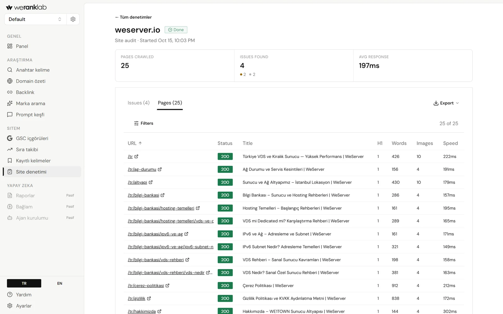 Sitenizdeki teknik SEO hatalarını bulun